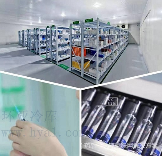 開創(chuàng)云全域建站