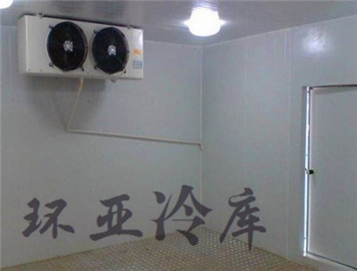 開創(chuàng)云全域建站